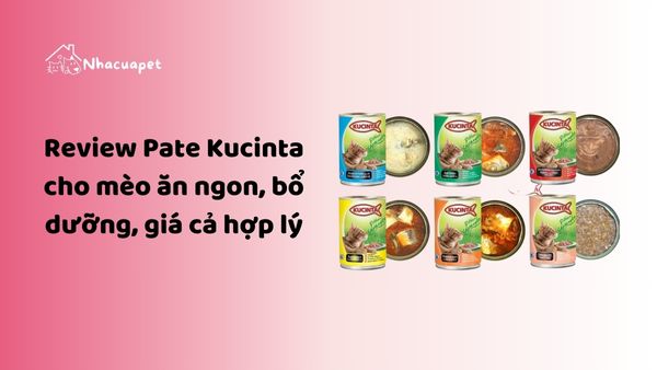 Review Pate Kucinta cho mèo ăn ngon, bổ dưỡng, giá cả hợp lý