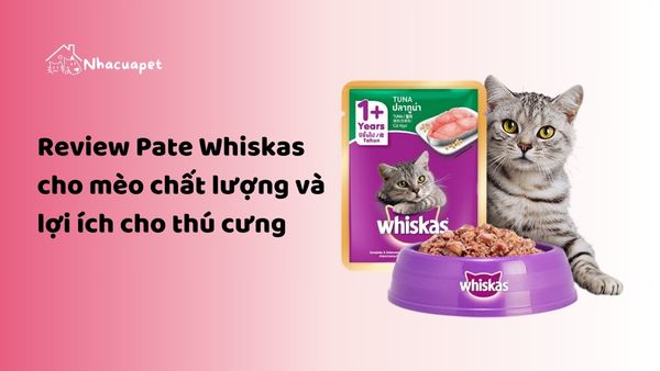 Review Pate Whiskas cho mèo chất lượng và lợi ích cho thú cưng 