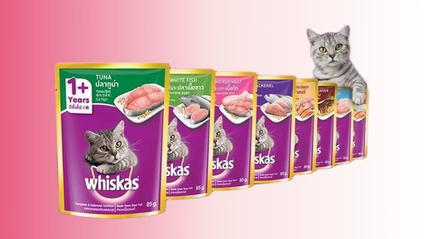 Review Pate Whiskas cho mèo