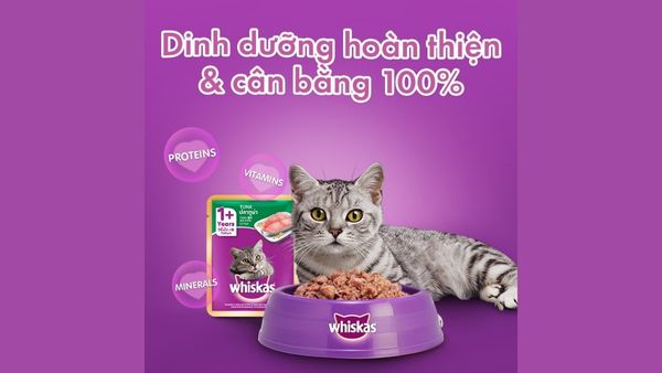 Thức ăn cho mèo Whiskas có tốt cho mèo không?