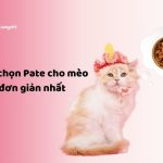 Cách chọn Pate cho mèo ngon đơn giản nhất