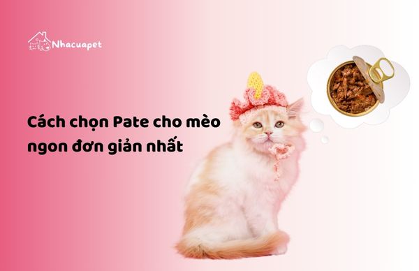 Cách chọn Pate cho mèo ngon đơn giản nhất