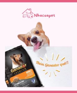 Hạt Ganador Adult Cho Chó Trưởng Thành Vị Cừu & Gạo