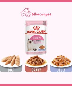 Pate Royal Canin Kitten Cho Mèo Con Gói 85g