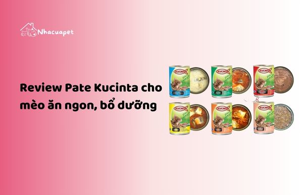 Review Pate Kucinta cho mèo ăn ngon, bổ dưỡng