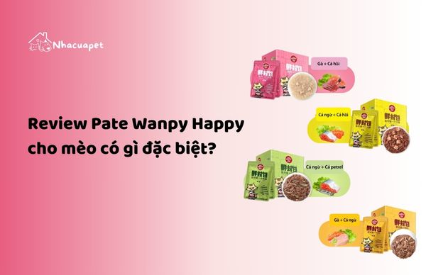 Review Pate Wanpy Happy cho mèo có gì đặc biệt?