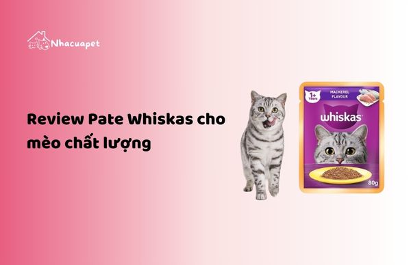 Review Pate Whiskas cho mèo chất lượng