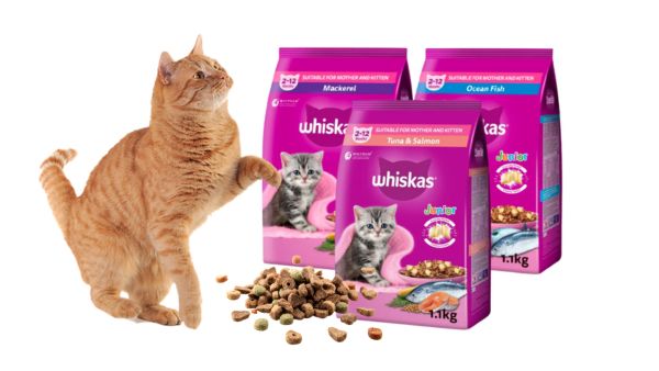 Thức ăn cho mèo già Whiskas
