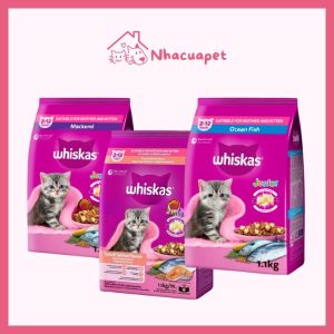 Thức Ăn Hạt Cho Mèo Con Whiskas Junior