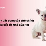 vật dụng của chó chính hãng giá gốc