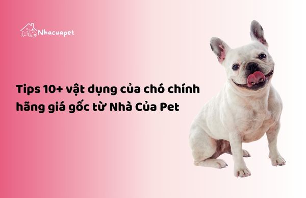 vật dụng của chó chính hãng giá gốc