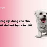 vật dụng cho chó con mới sinh