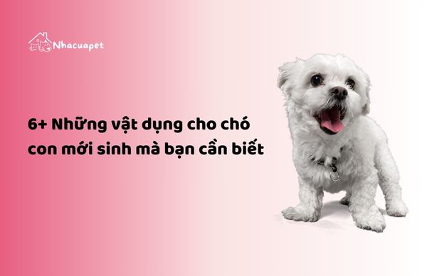 vật dụng cho chó con mới sinh