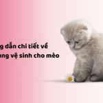 vật dụng vệ sinh cho mèo