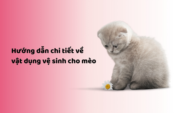 vật dụng vệ sinh cho mèo