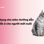 vật dụng cho mèo