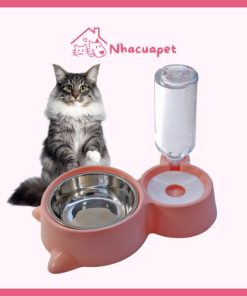 Bát ăn cho chó mèo đôi cấp nước tự động bình 500ml