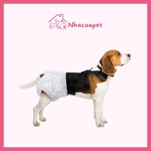 Tã bỉm PET SOFT Disposable Diapers Small