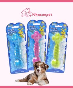 Đồ Chơi Chó Gặm Bằng Cao Su Tự Nhiên PAW Rubber