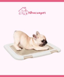 Khay Vệ Sinh Cho Chó Đi Đúng Chỗ IRIS OHYAMA FTT