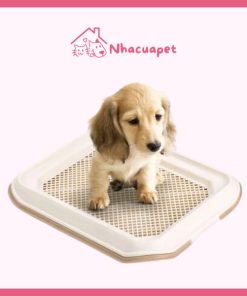 Khay Vệ Sinh Cho Chó MAKAR Dog Toilet Trays Small