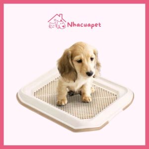 Khay Vệ Sinh Cho Chó MAKAR Dog Toilet Trays Small