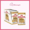 Pate Royal Canin Chihuahua Adult cho chó trưởng thành 85g