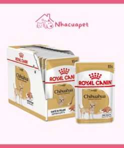 Pate Royal Canin Chihuahua Adult cho chó trưởng thành 85g