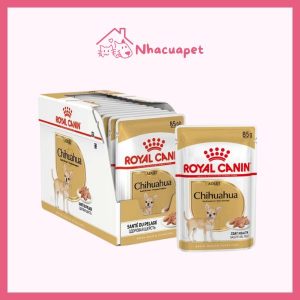 Pate Royal Canin Chihuahua Adult cho chó trưởng thành 85g