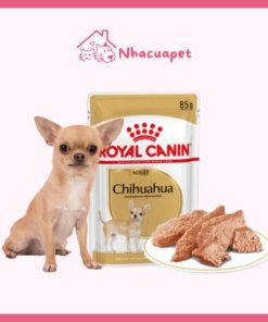 Pate Royal Canin Chihuahua Adult cho chó trưởng thành 85g(1)