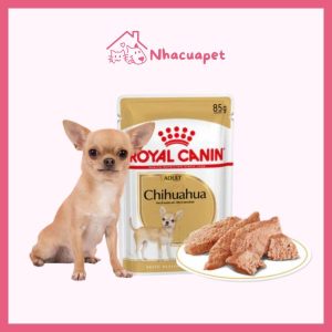 Pate Royal Canin Chihuahua Adult cho chó trưởng thành 85g(1)