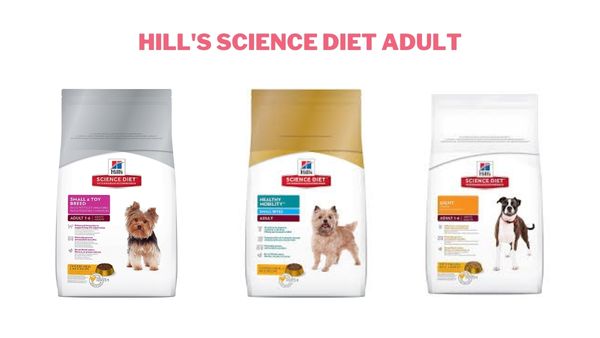 Hill's Science Diet Adult - Thức ăn cho chó 3 tuổi