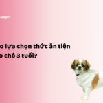 Thức ăn cho chó 3 tuổi