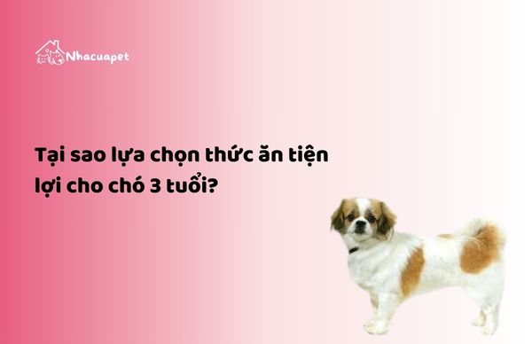 Thức ăn cho chó 3 tuổi