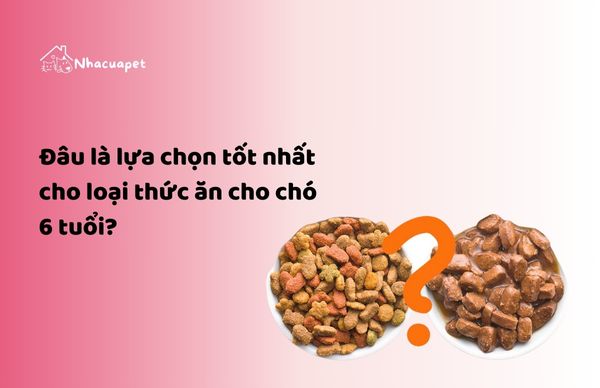 Thức ăn cho chó 6 tuổi