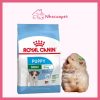 Thức ăn Hạt Royal Canin Mini Puppy Cho Chó (1)