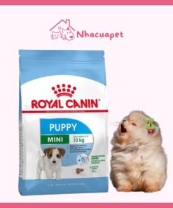 Thức ăn Hạt Royal Canin Mini Puppy Cho Chó (1)