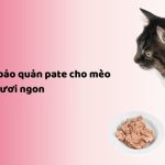 Cách bảo quản pate cho mèo luôn tươi ngon