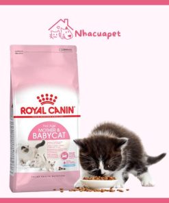 [400Gr] Hạt Royal Canin Mother & Baby Cat - Cho Mèo Mẹ & Mèo Con