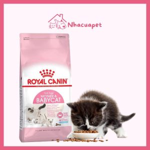 [400Gr] Hạt Royal Canin Mother & Baby Cat - Cho Mèo Mẹ & Mèo Con