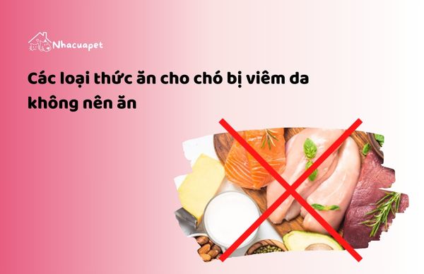 Các loại thức ăn cho chó bị viêm da không nên ăn