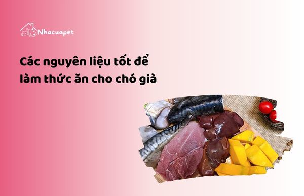 Các nguyên liệu tốt để làm thức ăn cho chó già