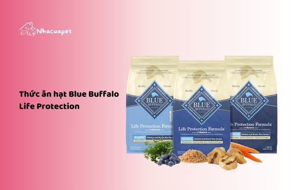 Thức ăn hạt Blue Buffalo Life Protection