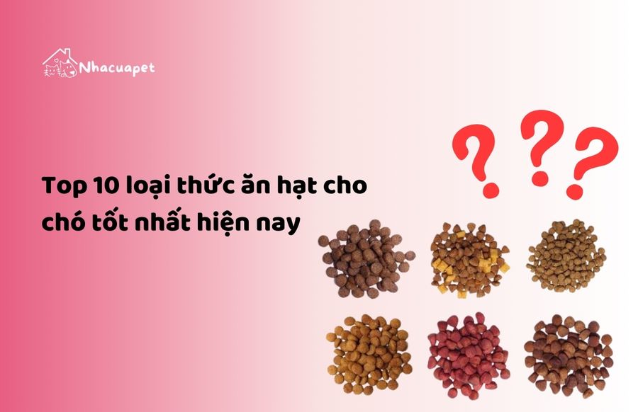 Top 10 loại thức ăn hạt cho chó tốt nhất hiện nay