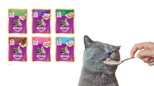 Pate Whiskas - Thức ăn ướt cho mèo Whiskas