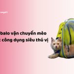 balo vận chuyển mèo