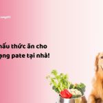 Thức ăn cho chó dạng pate - Cách nấu thức ăn cho chó tại nhà