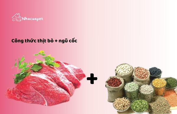 Công thức làm thức ăn ướt cho chó tại nhà