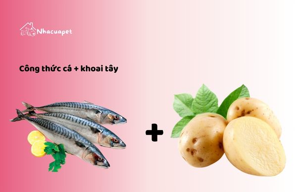 Công thức làm thức ăn ướt cho chó tại nhà